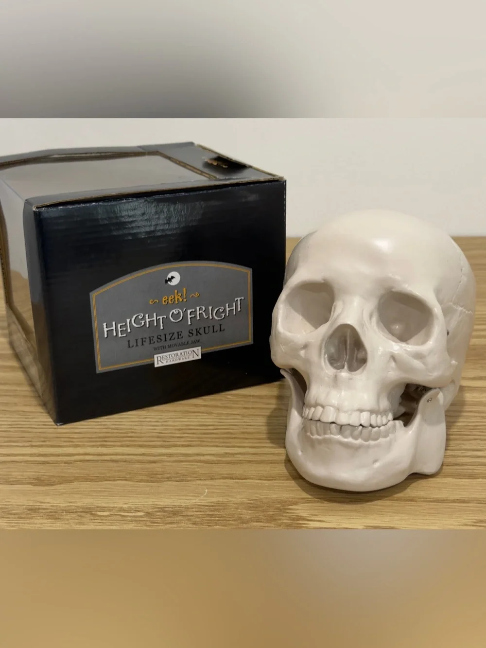 Restoration Hardware Skull Human Life Size Resin Vintage RH Y2K Halloween